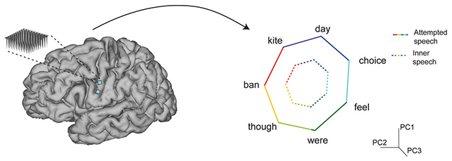 El diagrama muestra un cerebro con el chip plantado. Una flecha conduce del cerebro a otro diseñador gráfico, que tiene palabras como día, elección, sentimiento, sin embargo, han prohibido y las cometas arregladas alrededor de un epatágono. 