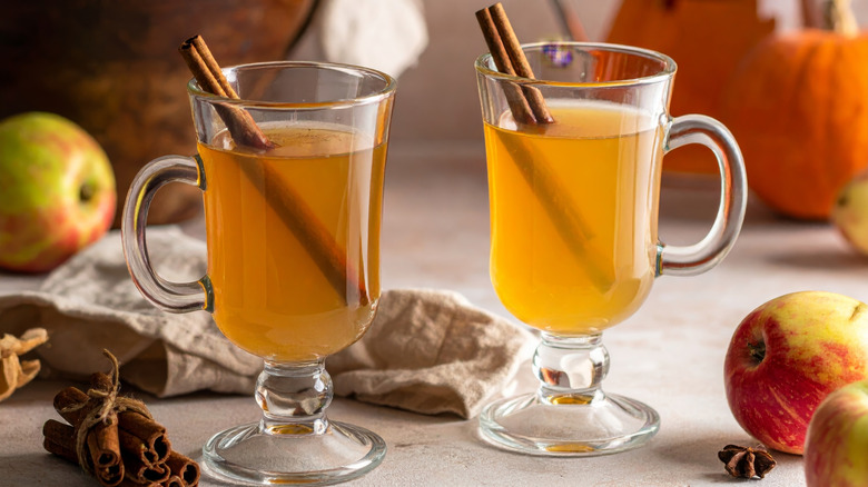 Vasos de sidra de manzana con ramitas de canela y manzanas.