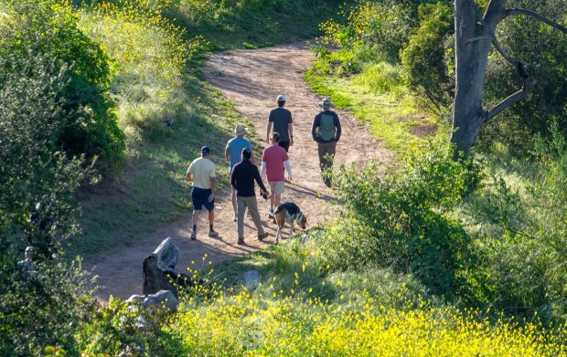 Un grupo de excursionistas camina por un sendero en el Parque Regional Santiago Oaks en Orange, el sábado 28 de febrero de 2026 por la mañana. (Foto de Mark Rightmire, para el Registro del Condado de Orange/SCNG)