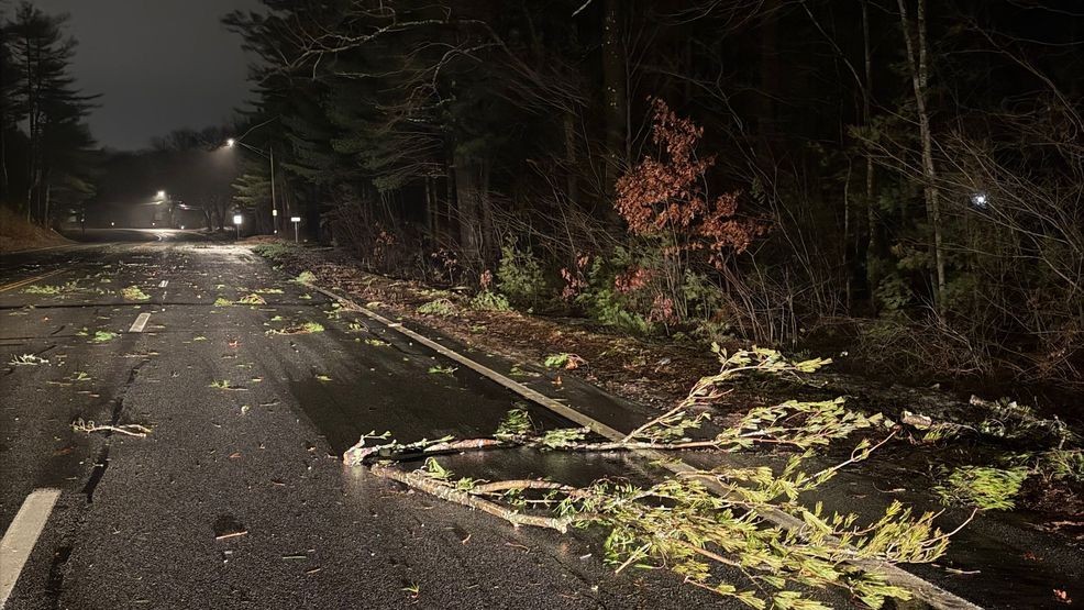 Julia Blanchette encontró estas sucursales en la carretera de North Kingstown. (WJAR)