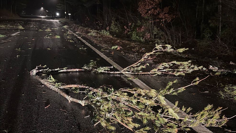 Julia Blanchette encontró estas sucursales en la carretera de North Kingstown. (WJAR){ }