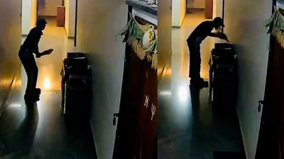 Este repartidor se detuvo frente al apartamento de un cliente para jugar al cricket con un bate desechado: por qué este simple acto plantea preguntas incómodas para los padres