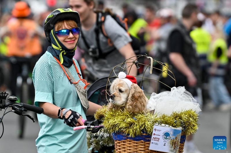 Una mujer con un perro en bicicleta durante un festival de bicicletas de primavera en Moscú, Rusia, el 24 de mayo de 2026. El festival de bicicletas de primavera tenía como objetivo promover un estilo de vida saludable y respetuoso con el medio ambiente. (Foto de Alexander Zemlianichenko Jr/Xinhua)