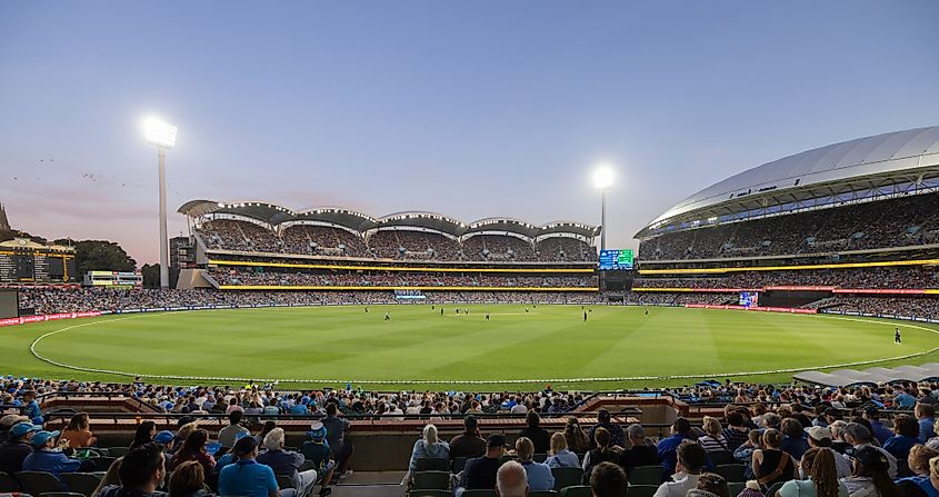 Una multitud disfruta de un partido de la Liga Big Bash masculina entre Adelaide Strikers y Melbourne Stars en Adelaide Oval. Crédito de la imagen Hyserb a través de Shutterstock.